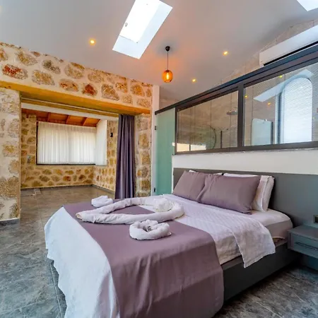 Artemis Hotel 4*