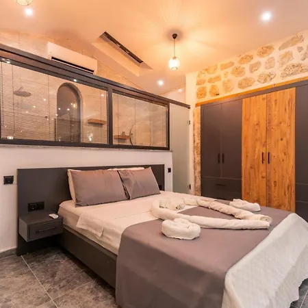 Hotel Artemis 4*